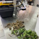 WhatsApp Image 2020 04 22 at 4.51.12 PM