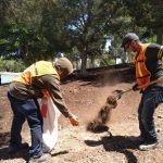 WhatsApp Image 2020 04 23 at 12.40.49 PM