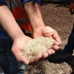 WhatsApp Image 2020 04 23 at 12.40.50 PM 1