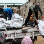 b0c1361a 8248 495f 9d7d f0afb9e47335