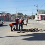 bacheo 4