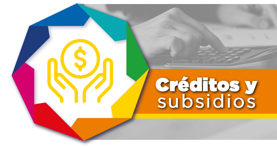 Habrá subsidios y créditos de Gobierno del Estado a informales y empresas 1 creditos y subsidios