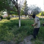 parques y jardines 1