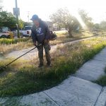 parques y jardines 2