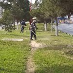 parques y jardines 3