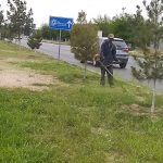 parques y jardines 4