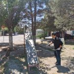 ssnitizar ecologia 1