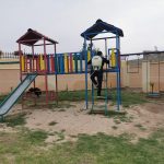 ssnitizar ecologia 2