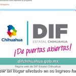 Beneficiarios del Programa de Apoyo Complementario 2