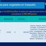 Entrega Desarrollo Rural 4 mil 246 paquetes alimentarios en la región serrana 5 Diapositiva18 1