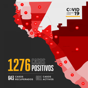EL PASO: 1276 Positivos y 32 defunciones 1 ELP COVID 0509 1