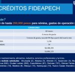 Apoya Gobierno del Estado con más de 21.3 mdp en subsidios a mil 27 MiPyMES 1 FIPES Y FIDEAPECH b 2