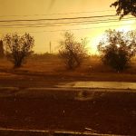 WhatsApp Image 2020 05 01 at 2.31.12 PM 3