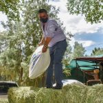 WhatsApp Image 2020 05 02 at 2.55.04 PM 1