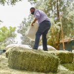 WhatsApp Image 2020 05 02 at 2.55.04 PM