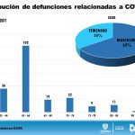 WhatsApp Image 2020 05 17 at 11.46.30 2