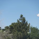 Emite Protección Civil alerta amarilla por vientos fuertes durante la noche 4 alerta viento 1