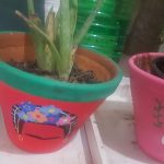 plantas ecologia 3
