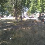 Atiende Municipio parques del suroriente de la ciudad 6 suroriente