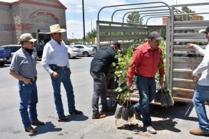 Anuncia Gobierno Municipal campaña de reforestación 2 1024x683