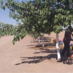 Captura de pantalla 2020 06 17 a las 11.36.57 a.m.