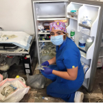 Captura de pantalla 2020 06 22 a las 12.28.02 p.m.