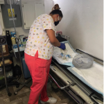 Captura de pantalla 2020 06 22 a las 12.28.21 p.m.