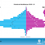 Captura de pantalla 2020 06 28 a las 10.59.24 1