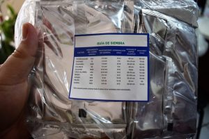 Entregan semillas en Desarrollo Rural 2 1 1024x683