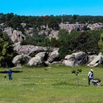 Plantarán 130 mil árboles para reforestar la Sierra Tarahumara 1 IMG 0010