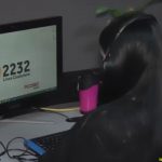 La ansiedad y la irritabilidad también son daños colaterales de la pandemia: Ficosec 2 LÍNEA CIUDADANA FICOSEC 3