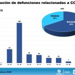 Reporte COVID 19 jun 04 4