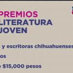 Invita Subsecretaria de Cultura a comunidad creadora y promotora artística de la frontera a presentar proyectos 2 Screenshot 20200611 123503
