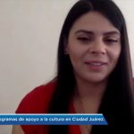 Invita Subsecretaria de Cultura a comunidad creadora y promotora artística de la frontera a presentar proyectos 9 Screenshot 20200611 123859