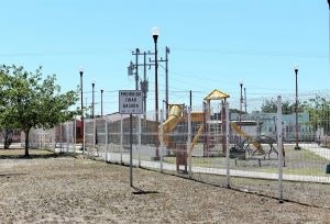 Se enfocarán en limpieza de parques y jardines