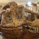 TURISMO CHIHUAHUA 10