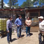 Construye Estado 120 viviendas en Guachochi para familias indígenas y madres solteras 2 VIVIENDAS GUACHOCHI COESVI 4