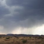 WhatsApp Image 2019 07 15 at 11.29.34 AM