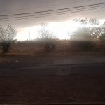 WhatsApp Image 2020 05 01 at 2.31.12 PM 1