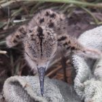 WhatsApp Image 2020 06 17 at 11.45.03 AM 2