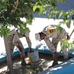 mi escuela mi segundo hogar 12