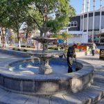 Atendió Parques y Jardines más de 264 mil metros cuadrados de áreas verdes en 30 colonias de la ciudad 1 parques 3