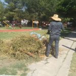 Atendió Parques y Jardines más de 264 mil metros cuadrados de áreas verdes en 30 colonias de la ciudad 2 parques 4