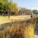 Atendió Parques y Jardines más de 264 mil metros cuadrados de áreas verdes en 30 colonias de la ciudad 6 parques 6