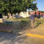 Atendió Parques y Jardines más de 264 mil metros cuadrados de áreas verdes en 30 colonias de la ciudad 8 parques 7