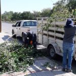 Atendió Parques y Jardines más de 264 mil metros cuadrados de áreas verdes en 30 colonias de la ciudad 9 parques 9