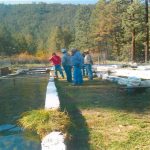 productores acuícolas