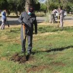 reforestacion chamizal 3