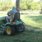 reforestacion chamizal 6