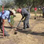 reforestacion chamizal 7